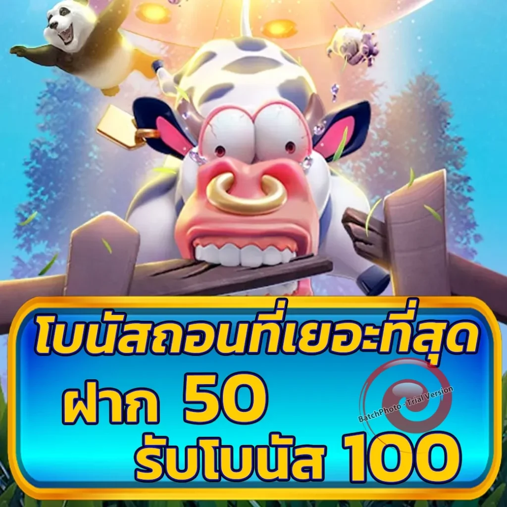 sohot-789 ครบทุกค่าย